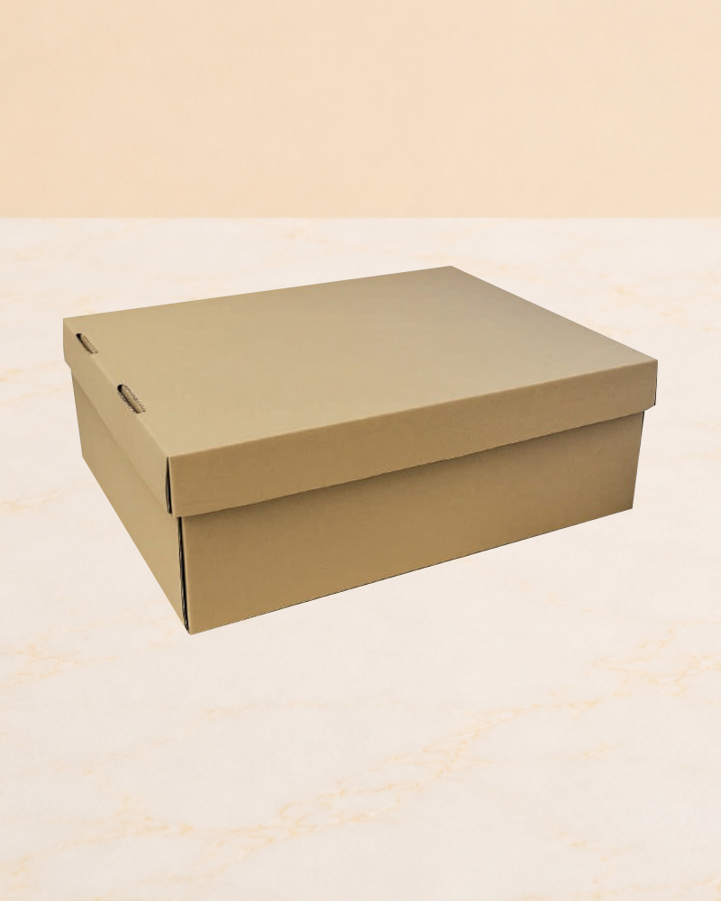 CAJA CORRUGADA
